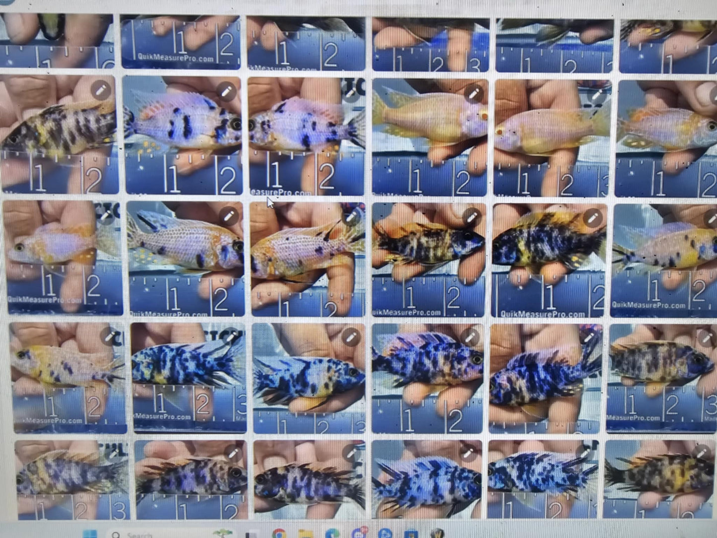 random assorted male box